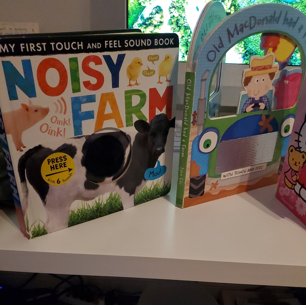 ASSORTED CHILDRENS BOOKS - Touch & Feel, Play A Song, Interactive - Picture 6 of 8